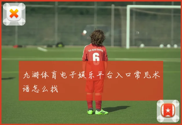 九游体育电子娱乐平台入口常见术语怎么找